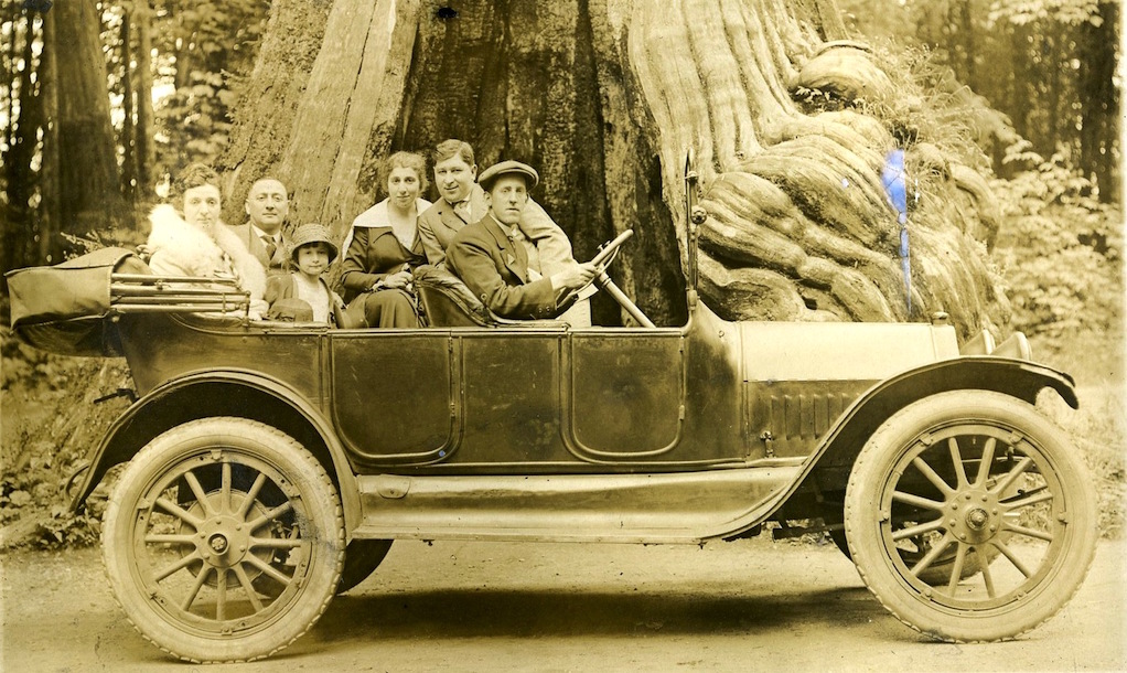 Family in car