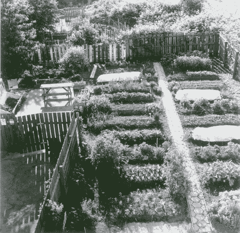 demo garden